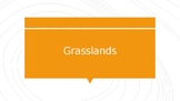 Grasslands Biomes PPT Presentation