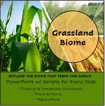 Preview of Grasslands Biome PowerPoint Lesson with Script