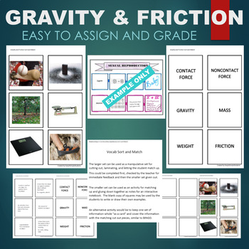 Preview of Gravity (Contact Force, Mass, Weight, Friction) Sort & Match STATIONS Activity