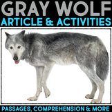 Gray Wolf Animal Research Nonfiction Reading Passage & Com