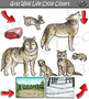 Gray Wolf Life Cycle Clipart by I 365 Art - Clipart 4 School | TPT