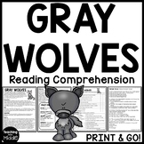 Gray Wolves Informational Text Reading Comprehension Works