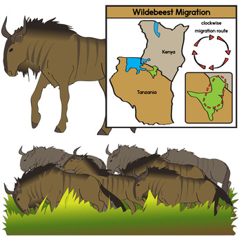 Animal Migrations Clip Art - Both Animal and Map Illustrations Included
