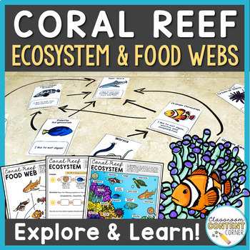 Great Barrier Reef: Coral Reef Food Web Activity, Ecosystem, & Animal ...