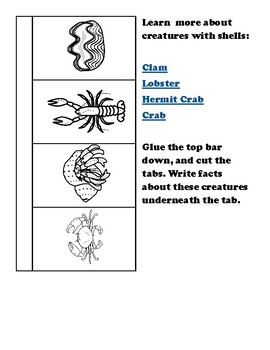 Preview of Great Barrier Reef (Learn & Lapbook)