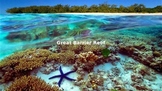 Great Barrier Reef Power Point - All the facts with great 