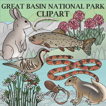 Preview of Great Basin National Park Clipart - Plants and Animals of the National Parks