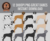 Digital Great Danes Png Clipart in Standing Position