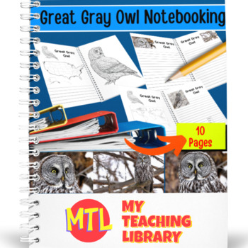 Preview of Great Gray Owl | Notebooking Report Pages
