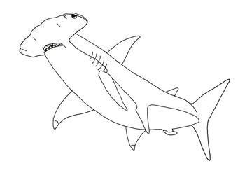 Great Hammerhead Shark Coloring Page by Mama Draw It | TpT