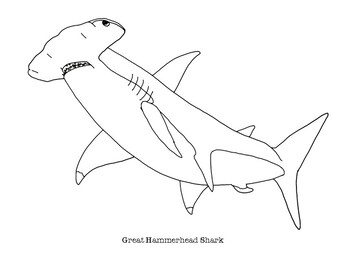 ocean shark coloring pages