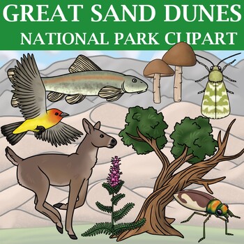 Preview of Great Sand Dunes National Park Clipart - Plants and Animals of the National Park