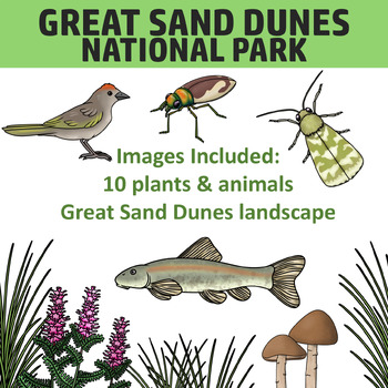 Great Sand Dunes National Park Clipart - Plants and Animals of the National  Park