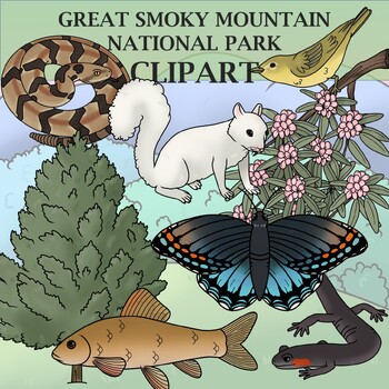 Preview of Great Smoky Mountain National Park Clip Art - Plants and Animals
