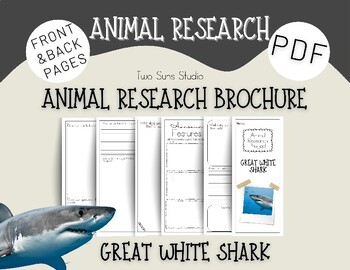 shark research opportunities for high school students