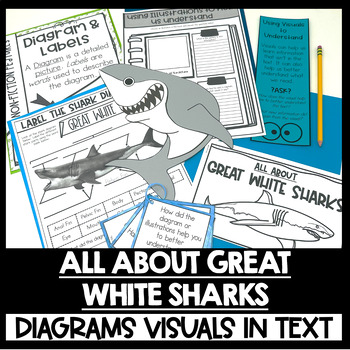 Great White Shark Reading Comprehension Nonfiction Text Features Diagrams