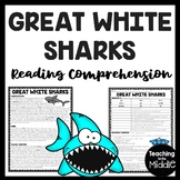 Great White Sharks Reading Comprehension Worksheet Ocean C