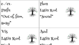Greek/Latin Roots, affix cards "Herbology Cards"