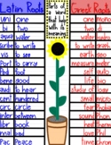 Greek and Latin Root Words Anchor Chart