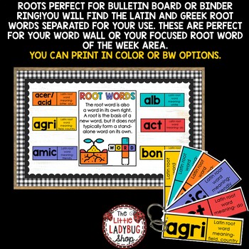 Greek and Latin Root Words Worksheets Word Work Study Vocabulary