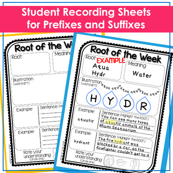 Root of the Week - Greek and Latin Roots Root Words (Posters