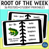 Greek and Latin Roots Posters