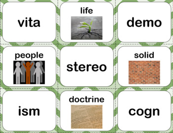 Greek and Latin Roots, Vocabulary Activities