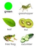 Green Image Reference Card