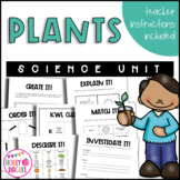 Plants - life cycle of a plant and parts of a plant included