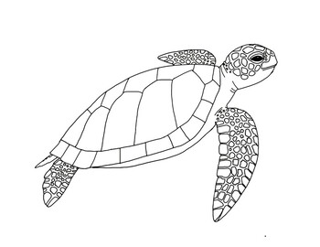 Green Sea Turtle Coloring Page by Mama Draw It | TpT
