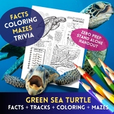 Green Sea Turtle - Info + Coloring + Turtle Tracks + Mazes