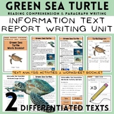 Green Sea Turtle Information Texts, Report Paragraph Writi