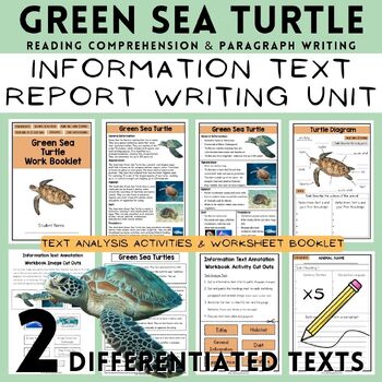 Green Sea Turtle | Information Text Reading & Writing Unit | Booklet ...