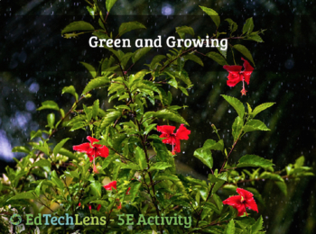 Preview of Green and growing - Plants Need Water to Survive - Home User Activity