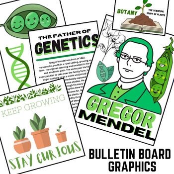 Preview of Gregor Mendel Genetics Bulletin Board Graphics & Classroom Display