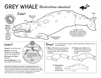 Preview of Grey Whale nature activity sheet