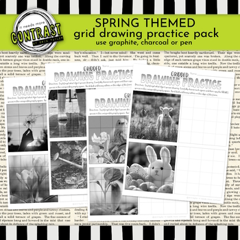 Preview of Grid Drawing Worksheets with Spring Season Images Use Graphite, Charcoal, or Pen