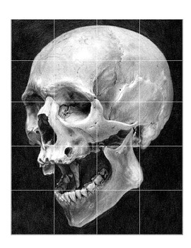 Preview of Grid Reference Photos Skull/Value Drawing