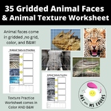 Gridded Animal Photos & Animal Texture Worksheet