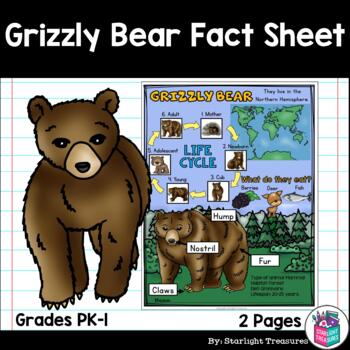 Preview of Grizzly Bear Fact Sheet for Early Readers - Animal Study