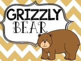 Grizzly Bear: Rhythm and Dynamic Practice