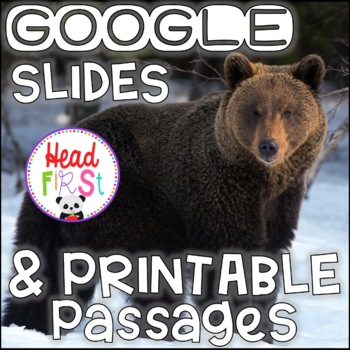 Preview of Grizzly Bears NONFICTION GOOGLE and PRINTABLE Passages and Writing Activities