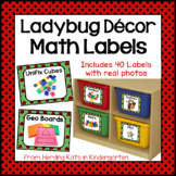 Ladybug Theme Math Manipulatives Labels