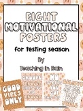 Groovy Motivational Testing Posters