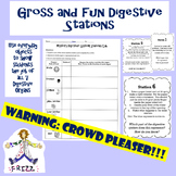 Gross and Fun Digestive Lab Stations