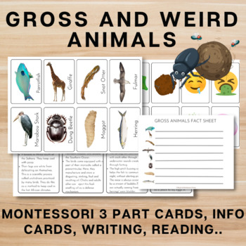 Preview of Gross and Weird Animals//Montessori 3 Part Cards/Writing/Informational Text