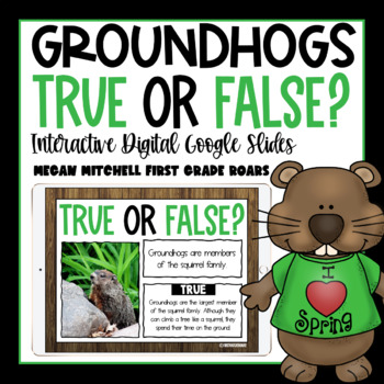 Preview of Groundhog Activity True or False Nonfiction Interactive Google Slides