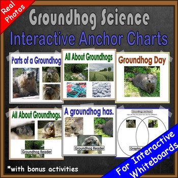 Preview of Groundhog Day Emergent Reader and Non Fiction Unit Kindergarten First Grade