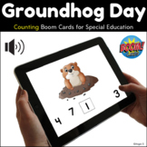 Groundhog Day Autism BOOM CARDS™ Counting up to 10 Activit