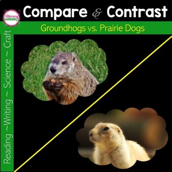 is a prairie dog a groundhog